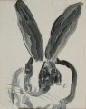 rabbit black and white